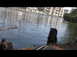 【釣り】別所沼公園で３月での釣り