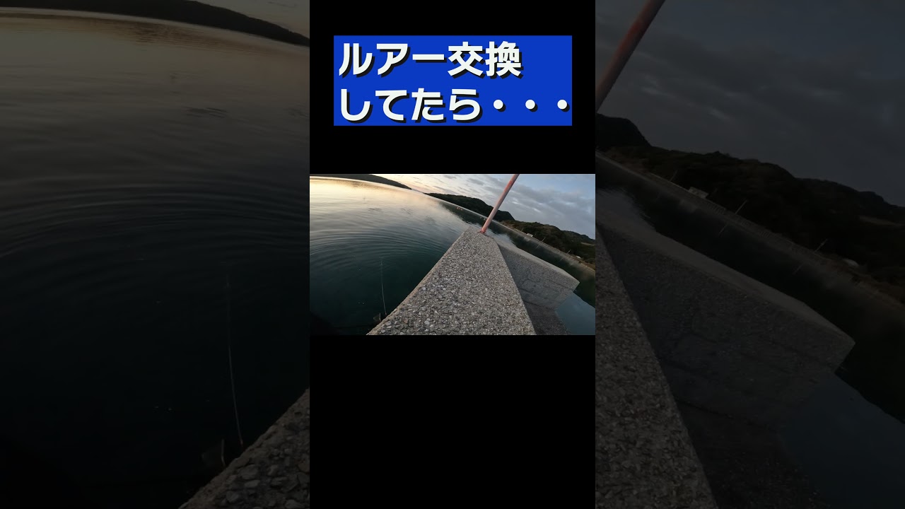 海にロッドを落とす・・・ルアー交換中。 #釣り