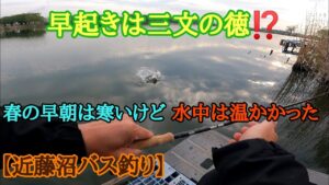 【バス釣り】近藤沼に春バスロマンを求めてみた件