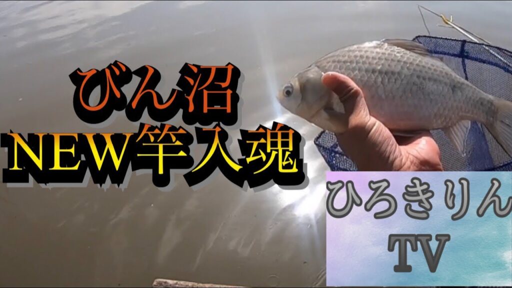 埼玉県びん沼ヘラブナ釣り！初めてのセット釣り