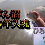 埼玉県びん沼ヘラブナ釣り！初めてのセット釣り