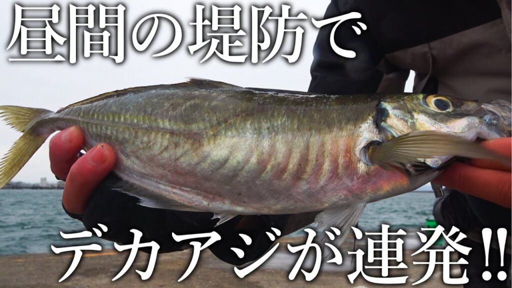 昼間からデカアジが連発！日本一尺アジが釣れる釣り公園でサビキにひと手間施すと時合いが止まらない