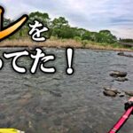 渓流釣りの中でも吾妻川の魚はマジで次元が違う！パワー全開！