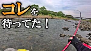 渓流釣りの中でも吾妻川の魚はマジで次元が違う!パワー全開!