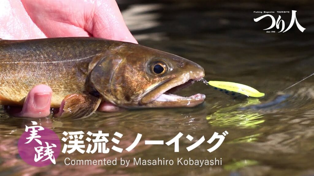 実践！渓流ミノーイング【ポイントの見方～ルアーの操作法まで】