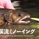 実践！渓流ミノーイング【ポイントの見方～ルアーの操作法まで】