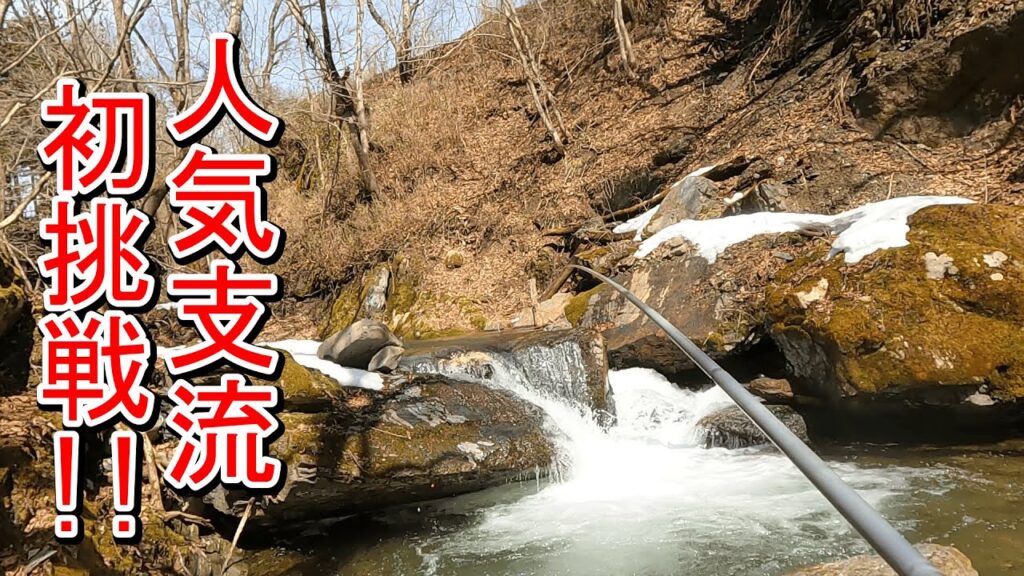 【渓流釣り】道の駅近くの大人気釣り場に初挑戦！