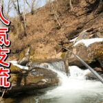 【渓流釣り】道の駅近くの大人気釣り場に初挑戦！