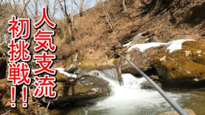 【渓流釣り】道の駅近くの大人気釣り場に初挑戦！