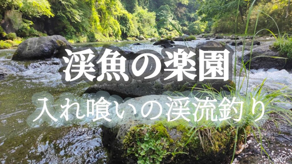 【渓流釣り】【餌釣り】入れ喰いの渓流釣り。