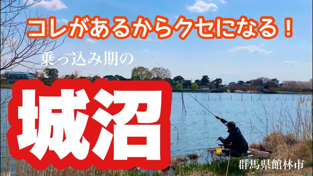 激浅で魅力的な城沼でへらぶな釣り これがあるからこの沼は面白い 群馬県館林市