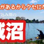 激浅で魅力的な城沼でへらぶな釣り これがあるからこの沼は面白い 群馬県館林市