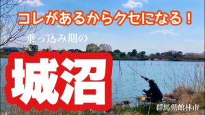 激浅で魅力的な城沼でへらぶな釣り これがあるからこの沼は面白い 群馬県館林市