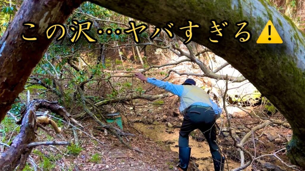 【渓流釣り】人類未開拓のチョロ沢。天然岩魚の巣窟。