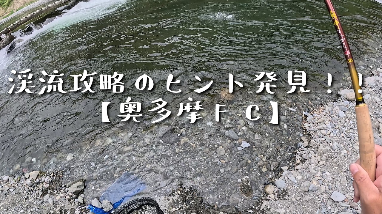 【テンカラ釣り】手応えアリ!?奥多摩フィッシングセンター初挑戦で見えた「奥多摩渓流攻略のヒント」