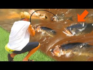 【衝撃映像】アメリカのドブ川で釣りしたらブラックバスの楽園やったww【フロリダ】