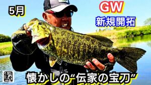 yasu  往年の最強ワーム！【川バス釣り】スモールマウスバス2025年5月 Small mouth bass
