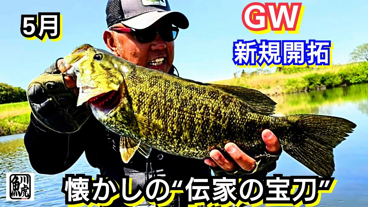 yasu 往年の最強ワーム!【川バス釣り】スモールマウスバス2025年5月 Small mouth bass