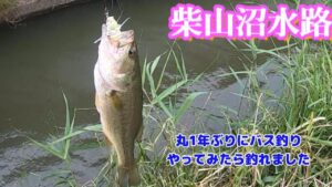 柴山沼水路バス釣り　1年ぶりにひっそりとバス釣ってみました