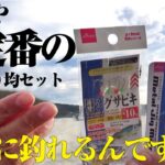 定番の100均マイクロジグとサビキの合体で何が釣れるか試してみた！確かに釣れることは分かったのだが…