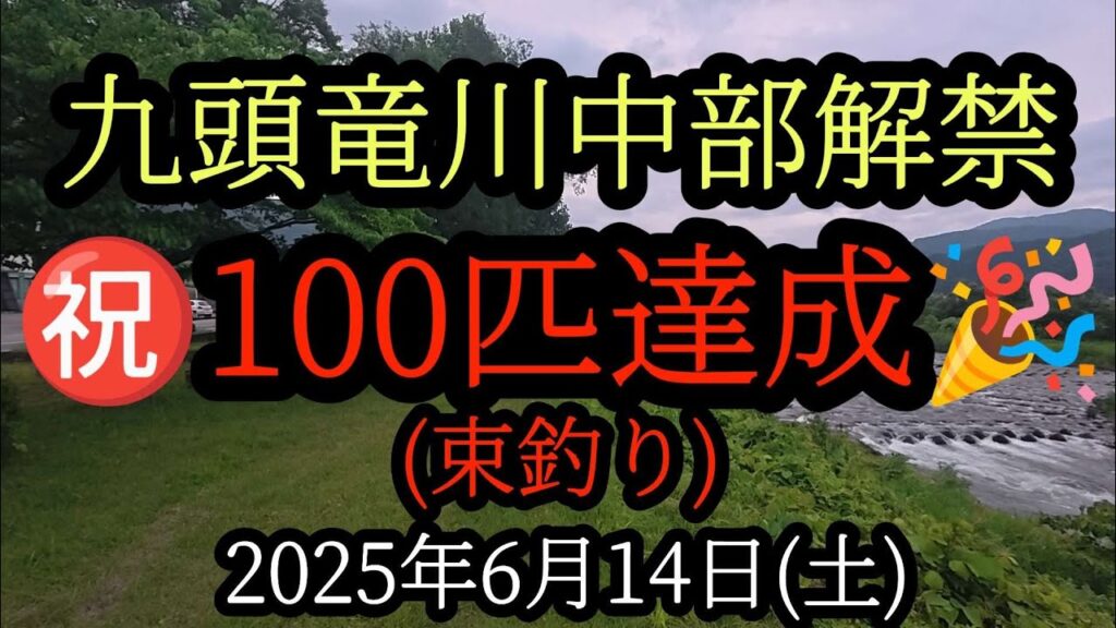 【100匹達成】束釣り　九頭竜川中部解禁2025年6月14日