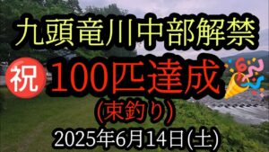 【100匹達成】束釣り　九頭竜川中部解禁2025年6月14日