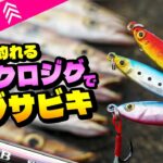 【コスパ最高の組合せ】100均マイクロジグとソアレBBで「サクッと爆釣マイクロジグサビキ」