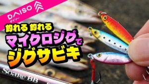 【コスパ最高の組合せ】100均マイクロジグとソアレBBで「サクッと爆釣マイクロジグサビキ」