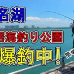 浜名湖 釣り【#137】海釣り公園のサビキ釣りが激アツで簡単過ぎる！