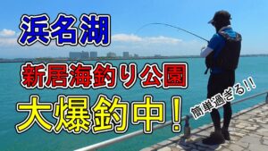 浜名湖 釣り【#137】海釣り公園のサビキ釣りが激アツで簡単過ぎる！
