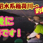 第14回　牛久沼水系　稲荷川で釣りをしたら最後の最後に（涙）