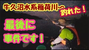 第14回　牛久沼水系　稲荷川で釣りをしたら最後の最後に（涙）