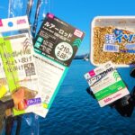 【税込1,870円で揃う！】ダイソータックルで漁港のちょい投げ釣りをしたら何が釣れるの？