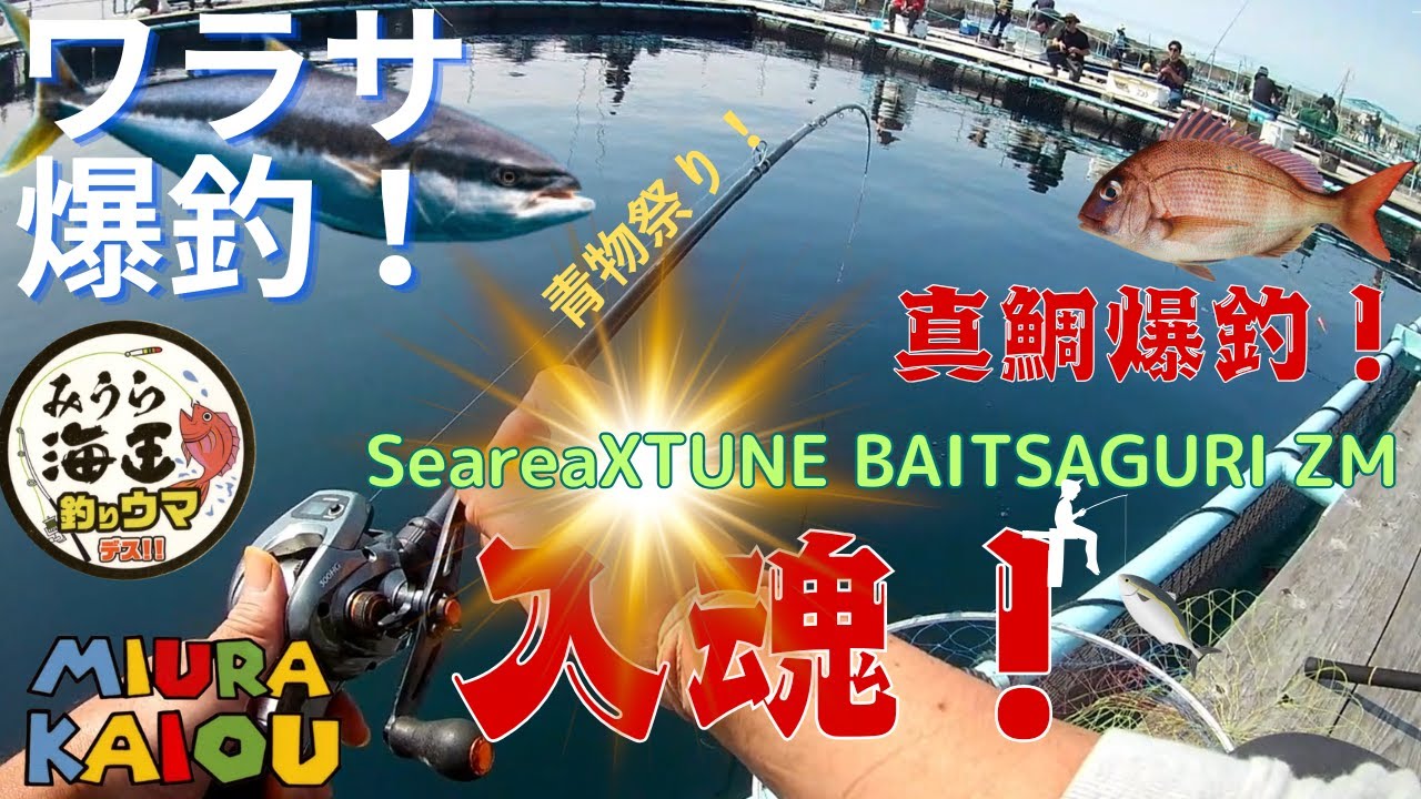 【海上釣堀】青物2倍放流シーリアエクスチューンベイト入魂 真鯛爆釣!