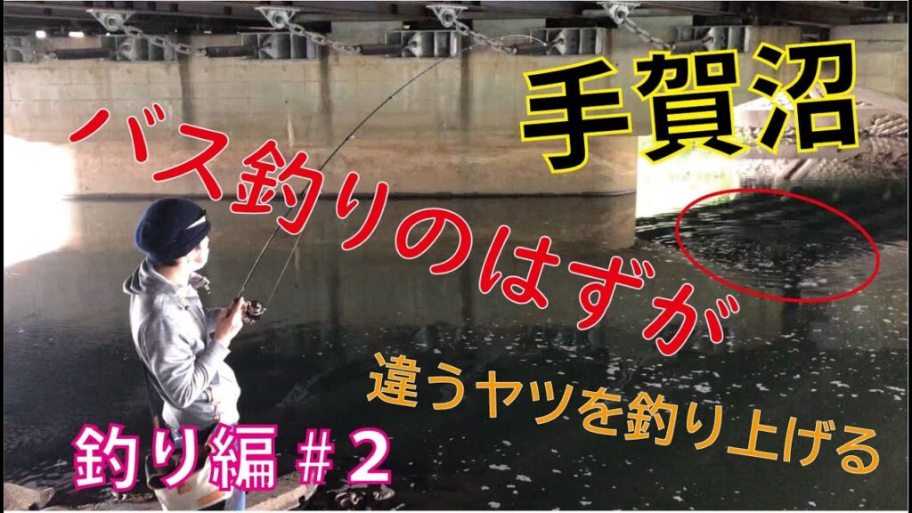 【バス釣り】手賀沼へいこう＃2《釣り編》想定外！？違うヤツを釣りあげる！