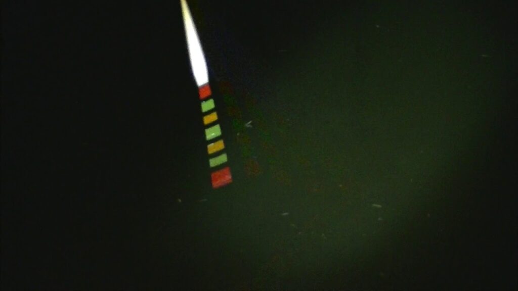 別所沼釣り映像2018.8.18.19.30