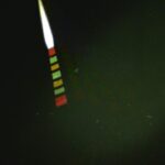 別所沼釣り映像2018.8.18.19.30