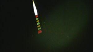 別所沼釣り映像2018.8.18.19.30