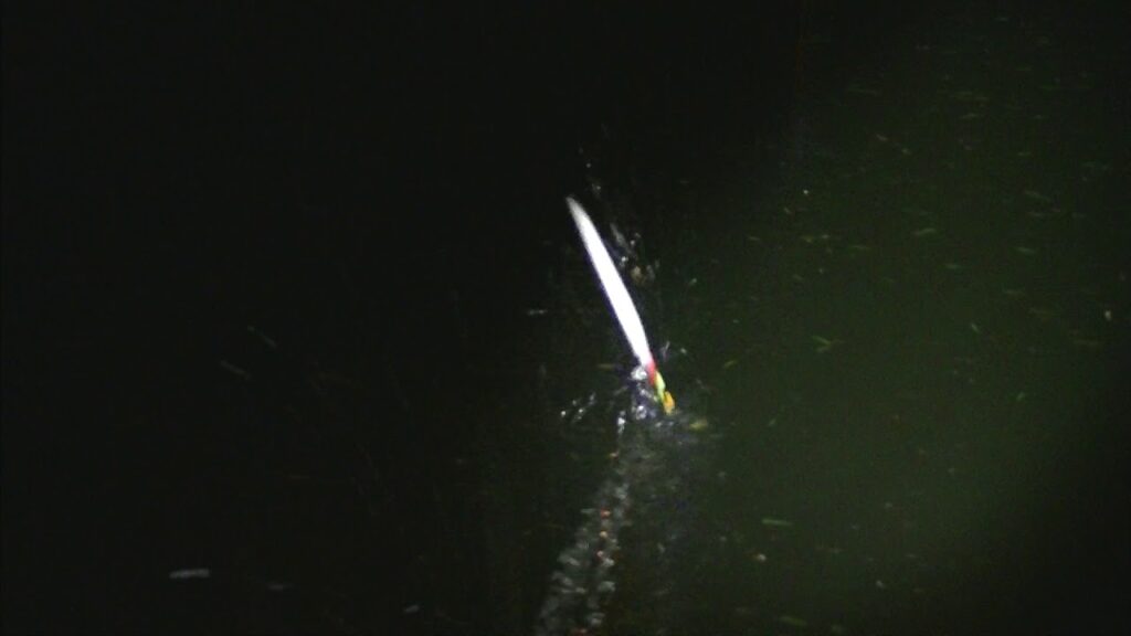 別所沼釣り映像2018.8.18.19.51