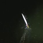 別所沼釣り映像2018.8.18.19.51