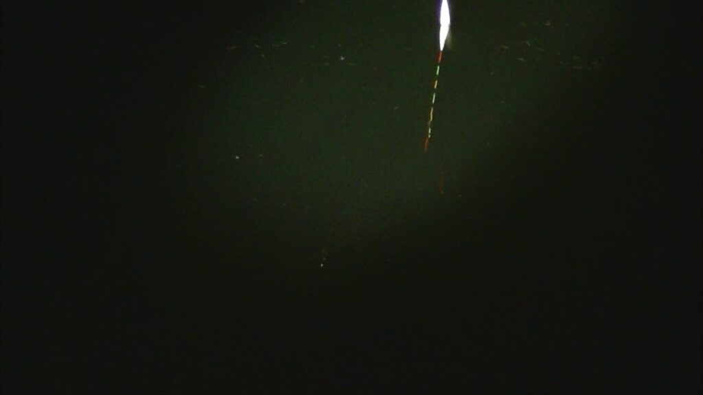 別所沼釣り映像2018.8.18.21.13