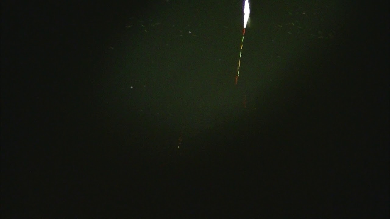 別所沼釣り映像2018.8.18.21.13