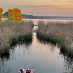 手賀沼でへらぶな釣り② 2023.4.5 （柏市側）