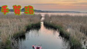 手賀沼でへらぶな釣り② 2023.4.5 (柏市側)