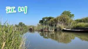 江川でへらぶな釣り 2023.5.10 （印旛沼水系）