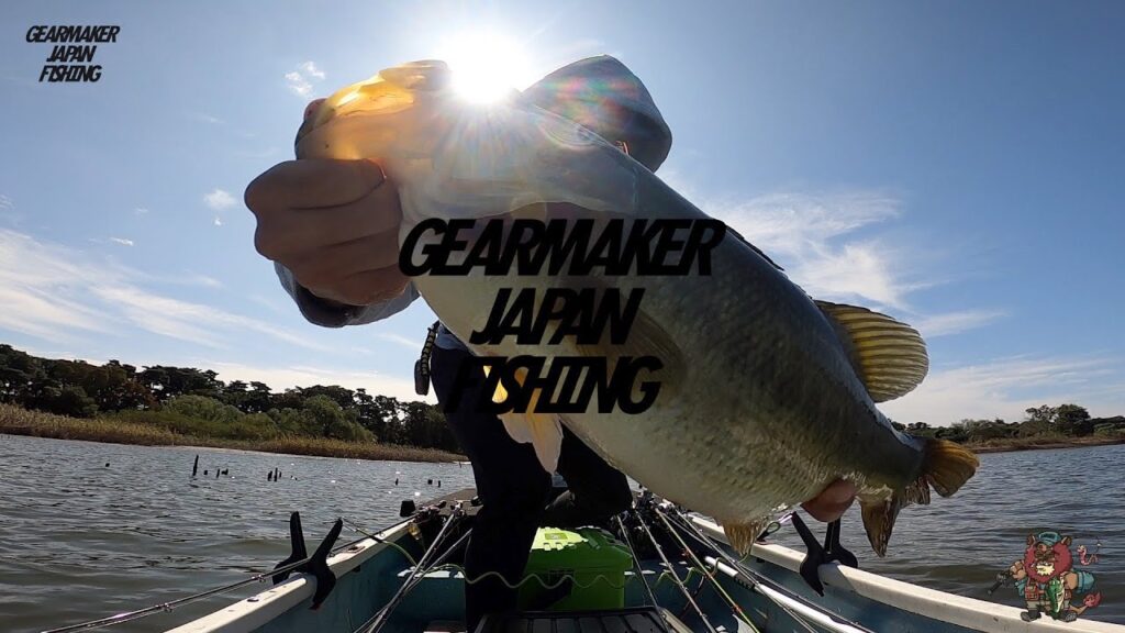 【多々良沼】 バス釣り 2023年10月上旬