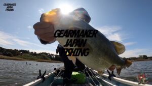 【多々良沼】 バス釣り 2023年10月上旬