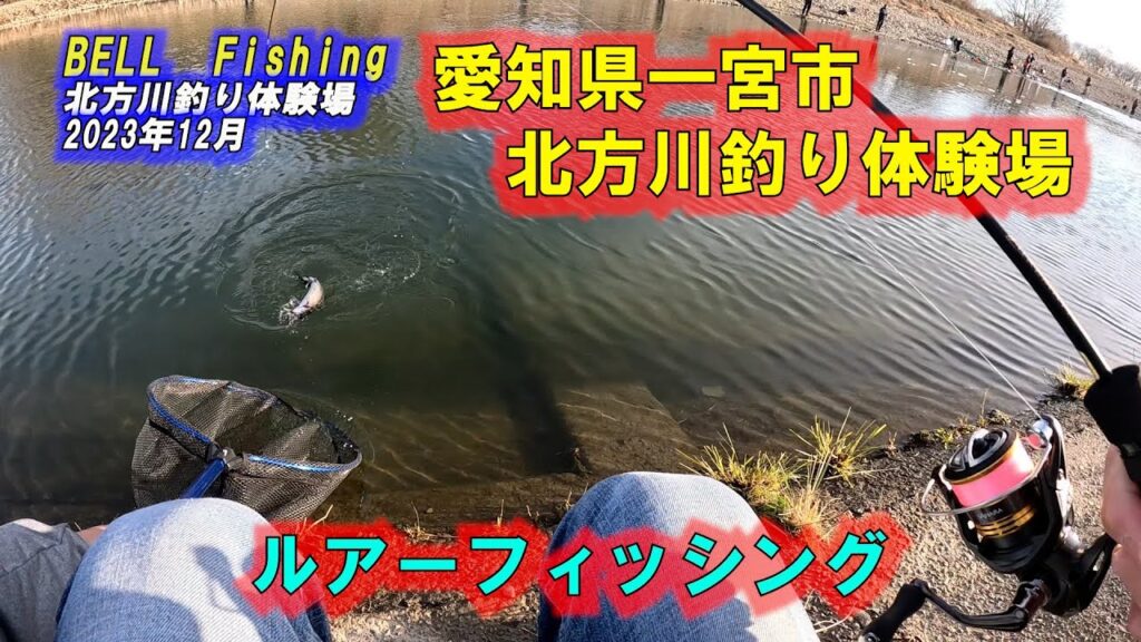 ルアーフィッシング　マス釣り　【管理釣り場】2023年12月