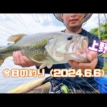 今日の釣り（2024.6.6）上野沼