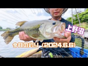 今日の釣り(2024.6.6)上野沼